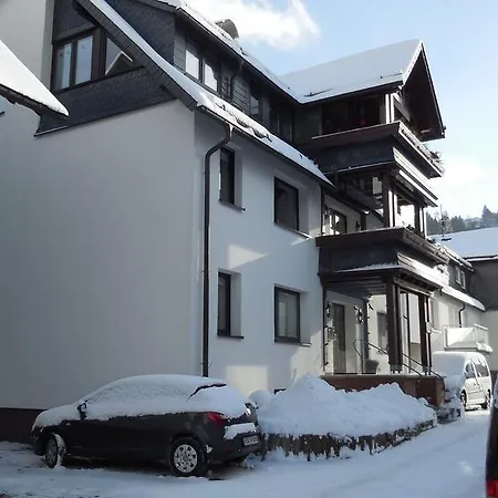Ferienwohnung Ortsmitte-Willingen Виллинген Экстерьер фото
