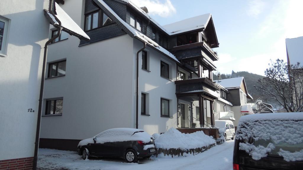 Ortsmitte-willingen Апартаменты