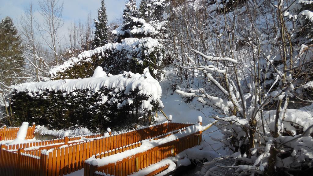 Ortsmitte-willingen Виллинген