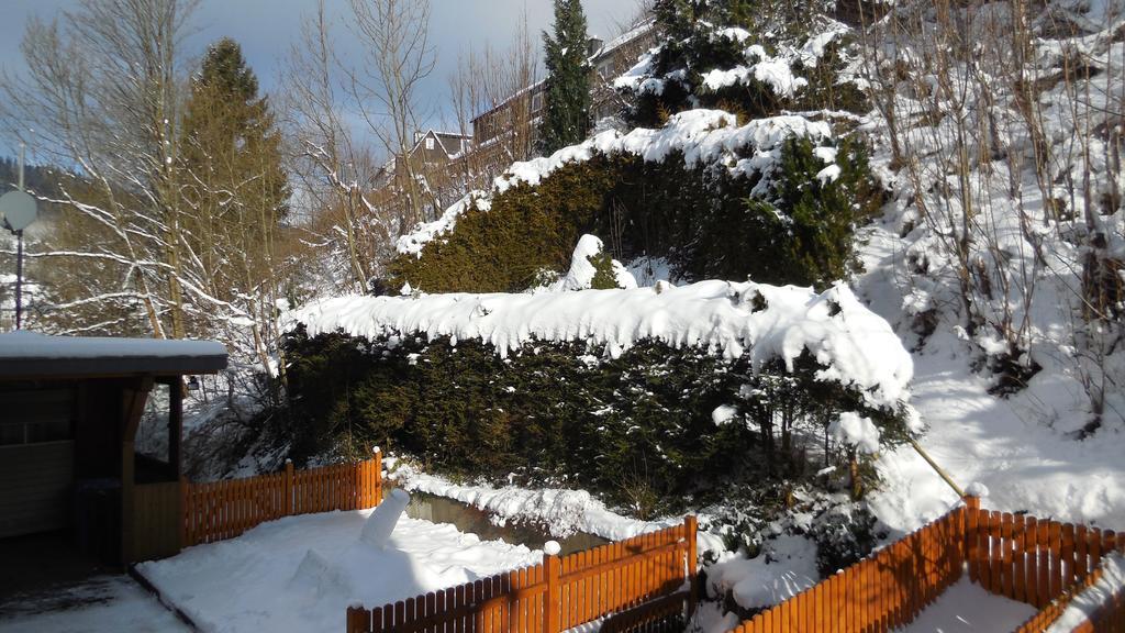 Ortsmitte-willingen Апартаменты *