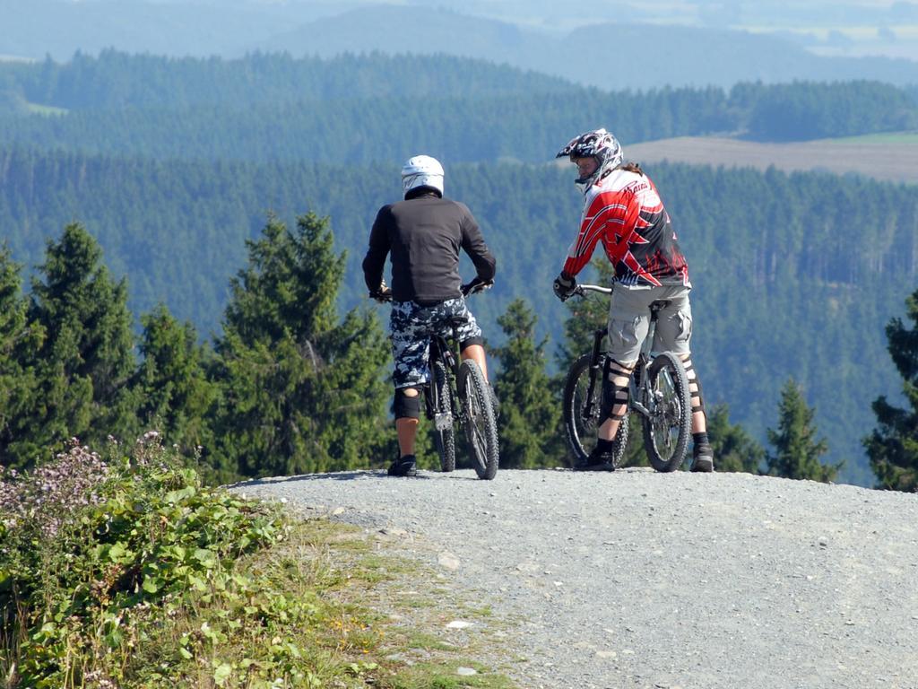 Ortsmitte-willingen Апартаменты Виллинген