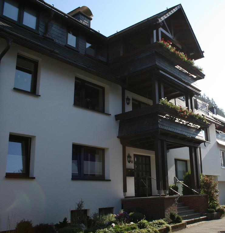 Apartment Ortsmitte-willingen